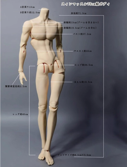 ドール本体 宮 男の子 75cm球体関節人形 BJD DOLL - Legenddoll通販店