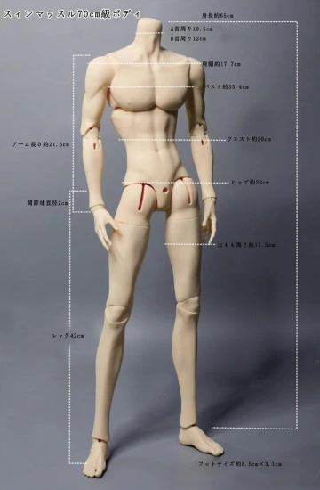 ドール本体 宮 男の子 70cm球体関節人形 BJD DOLL - Legenddoll通販店
