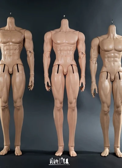 ドールボディ 魁狼体 男の子 75/78cm  球体関節人形 BJD