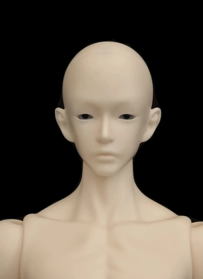 ドール用ヘッド 迪布(Di bu)ヘッド 頭囲15.6cm  球体関節人形 男の子 BJD用