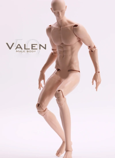 50俊俊体 50VALEN Male Body VALEN男の子用 ドール用ボディ 特四 BJD用