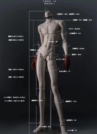 ドールボディ 星雲体 73サイズボディ 男の子  球体関節人形 BJDDOLL