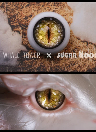 即納 ドール用石膏アイ 14/9.5mm 球体関節人形用 BJD用 「WhaleTolwer x SugarMoon」