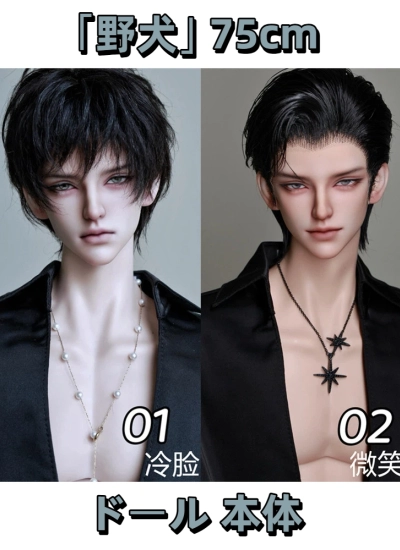 二次受注 期間限定再販売 ドール本体「野犬」 75cm 球体関節人形用 BJD DOLL【ASAI自制】