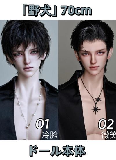 先行予約 期間限定 ドール本体「野犬」 72cm 球体関節人形用 BJD DOLL【ASAI自制】