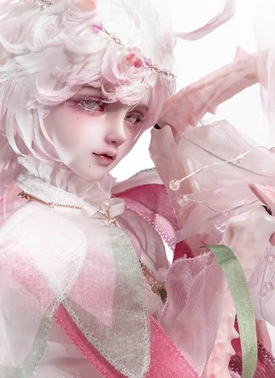 ドール本体 蟷螂-(弗洛里斯Floris)-星宿体 50cm 男の子 球体関節人形 BJD