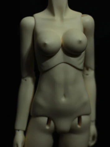 56.5cm女子胸関節 Lサイズ 胸囲25cm