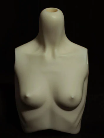 66cm女子胸関節 Sサイズ 胸囲23cm 二代目