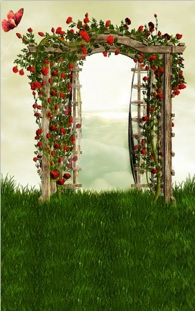 人形アイテム 人形用撮影背景の布 薔薇ドア w048