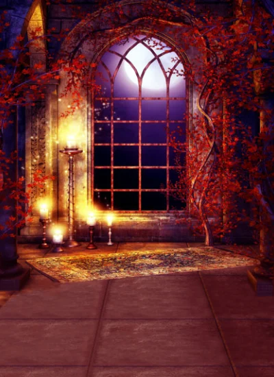 人形アイテム 人形用撮影背景の布 月下の部屋 y5878