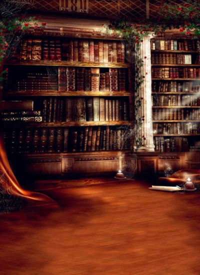 人形アイテム 人形用撮影背景の布 書房 y5877 球体関節人形用 BJDDOLL