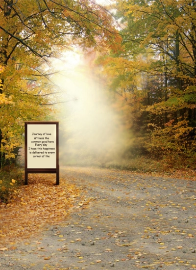 人形アイテム 人形用撮影背景の布 　綺麗な秋葉　y5004　