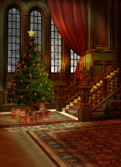 人形アイテム 人形用撮影背景の幕　y5932　クリスマス