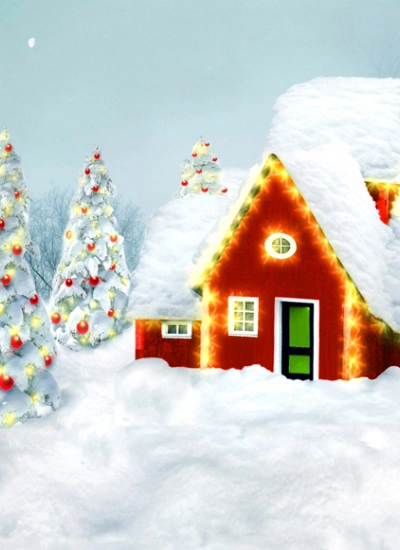 人形アイテム 人形用撮影背景の幕　y4548　クリスマス　雪降った朝