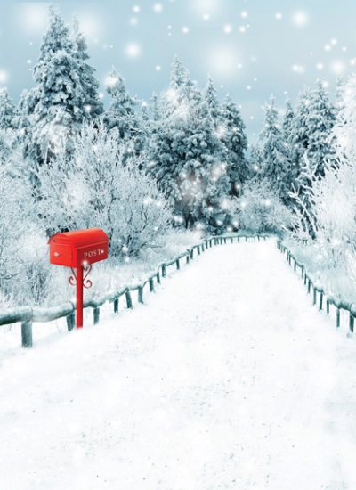 人形アイテム 人形用撮影背景の幕　y5731　クリスマス　霧氷