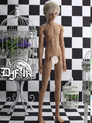 ドール用ボディ 65cm男体 球体関節人形用ボディ