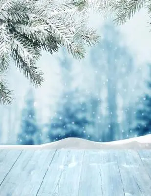 人形アイテム 人形用撮影背景の幕 y6044 雪降り