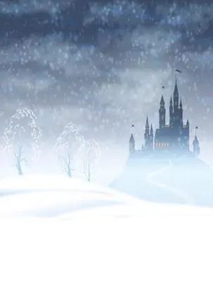 人形アイテム 人形用撮影背景の幕 y6054