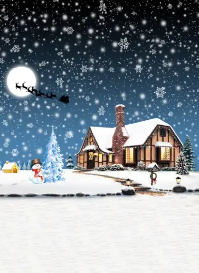 人形アイテム 人形用撮影背景の幕 y6058