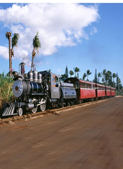 人形アイテム 人形用背景の幕 列車 y2930