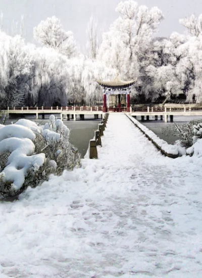 人形アイテム 人形用背景の幕　雪 樹氷 y2976