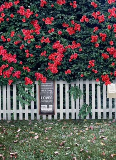 人形アイテム 人形用背景の幕 y2668 バラ園