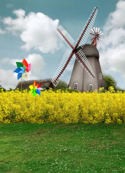 人形アイテム 人形用背景の幕 y2679 アブラナ