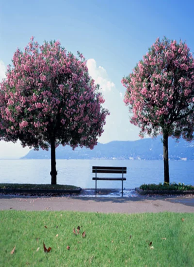 人形アイテム 人形用背景の幕 y2879 海風景