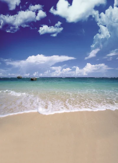 人形アイテム 人形用背景の幕 y3036 海辺