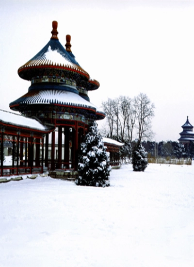 人形アイテム 人形用背景の幕 y2908 振り雪