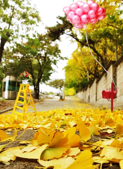 人形アイテム 人形用背景の幕 y5583 イチョウ