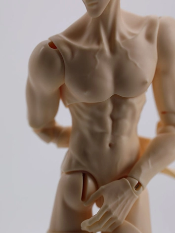 ドール用ボディ 32/33进善体 Male Body 32Evolve/33Evolve 32cm/33cm 男の子 BJD