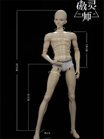 ボディのみ SDサイズ 62cm級 男の子 球体関節人形 BJD