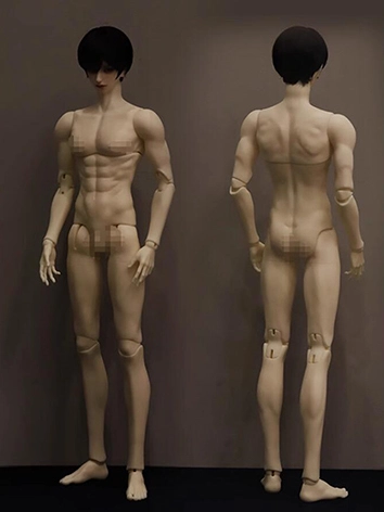 ボディのみ マッスルボデイ 44cm 男の子 球体関節人形 BJD