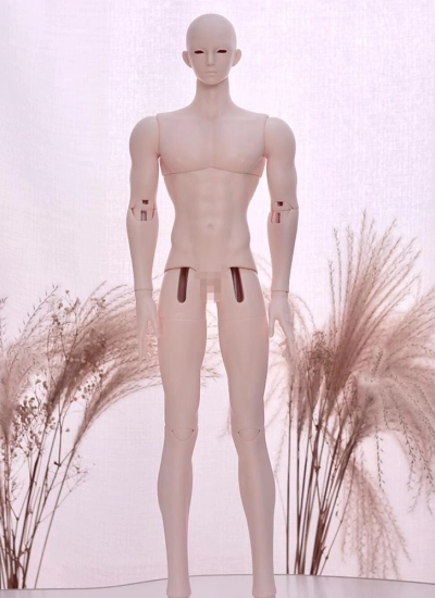 ドール用ボディ 75壮一代体縮小版 51cm Boy Body 男の子 球体関節人形用